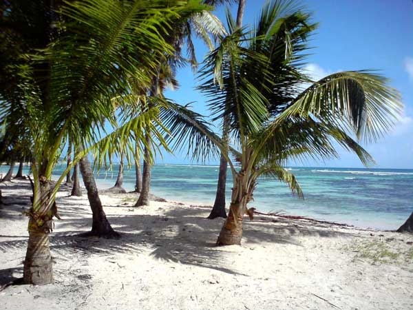 Klaus Kinshofer Technik Container Guadeloupe